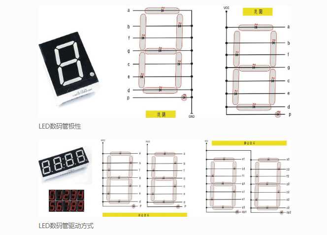 數(shù)碼管共陰陽極